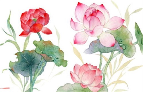 2025年05月09日动土日子如何 宜动土修造吉日查询