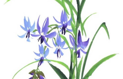 2025年农历八月初八动土好吗 今日动土建房好不好