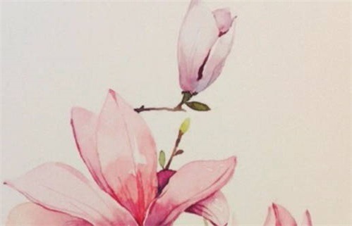 2025年农历三月廿三动土好不好 动土建房吉利吗 2025年农历三月廿三动土好不好 动土建房吉利吗