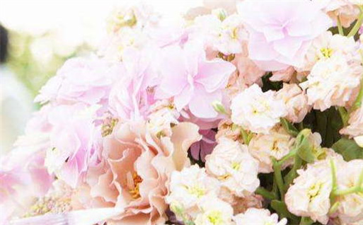 2025年01月07日动土吉日查询 宜动土吉日查询