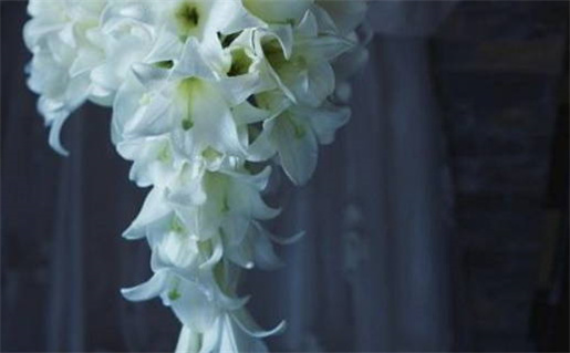 2025年09月05日结婚日子如何 是办婚礼好日子吗