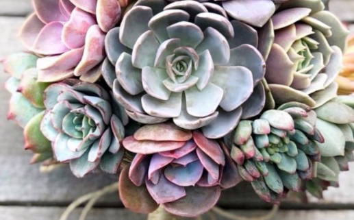 2025年09月27日结婚好吗 是办婚礼好日子吗