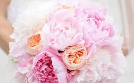 2025年10月03日领证日子如何 今日登记领证好不好