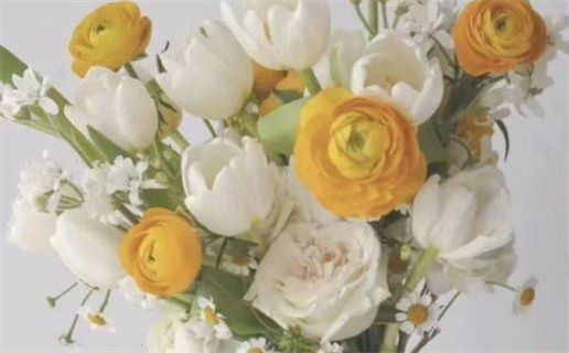 2025年02月27日领证日子如何 宜领证结婚吉日查询