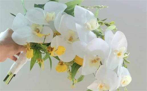 2025年农历四月十三领证好吗 今日领证结婚好不好