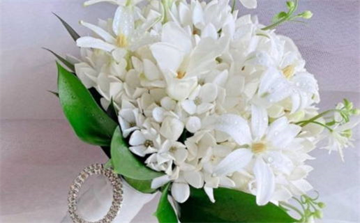 2025年05月08日领证日子如何 是领证结婚好日子吗