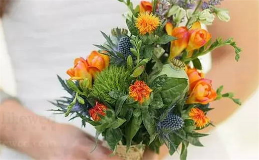 2024年农历冬月十六领证黄道吉日 登记结婚吉利吗