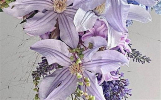 2025年农历七月廿五是领证好日子吗 今日登记结婚好不好 2025年农历七月廿五是领证好日子吗 今日登记结婚好不好