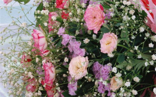 2025年09月17日是领证好日子吗 宜登记结婚吉日查询 2025年09月17日是领证好日子吗 宜登记结婚吉日查询