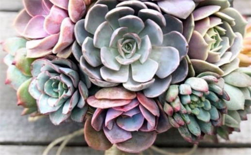 2024年农历冬月廿七领证黄道吉日 宜登记结婚吉日查询