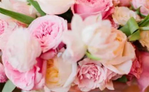 2025年11月29日是领证好日子吗 宜领证吉日查询 2025年11月29日是领证好日子吗 宜领证吉日查询