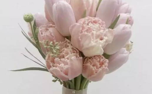 2025年农历二月廿三领证好吗 今日领证好吗 2025年农历二月廿三领证好吗 今日领证好吗