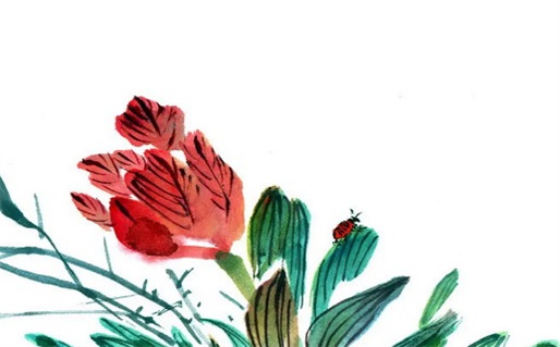 2025年05月31日是领证好日子吗 领证结婚吉利吗