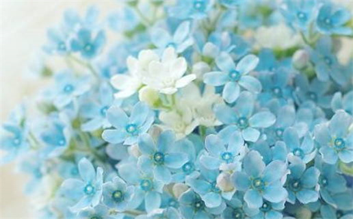 2025年12月03日乔迁好吗 今日乔迁好不好