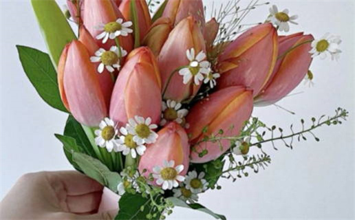 2025年03月11日乔迁日子如何 乔迁入住吉利吗