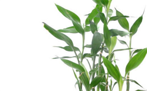 2024年12月23日是不是乔迁吉日 是入宅好日子吗