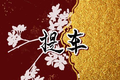 2025年农历正月初一提车好吗 今日提新车好不好