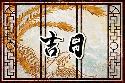 2025年11月09日提车吉日查询 今日提车好吗