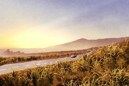 2025年农历七月初五是不是提车吉日 今日提新车好吗