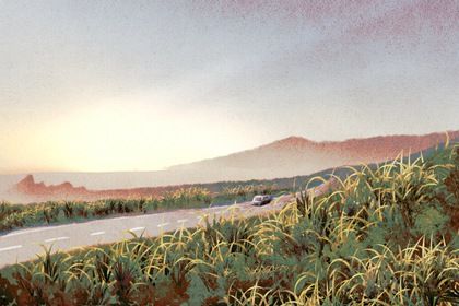 2025年01月23日是提车好日子吗 提车买车吉利吗