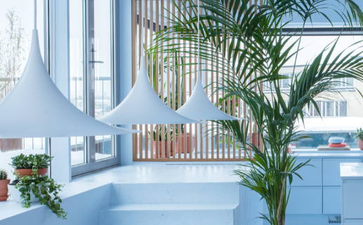 2024年农历腊月初一装修日子如何 今日装修开工好不好