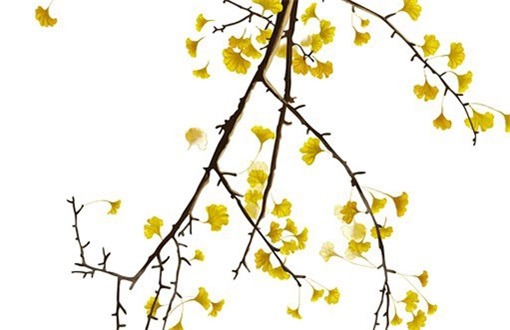 2025年农历七月初八是装修好日子吗 今日装潢好不好